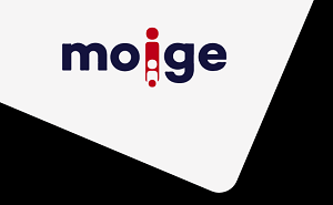 Articoli segnalati dal MOIGE: quotidiani e web